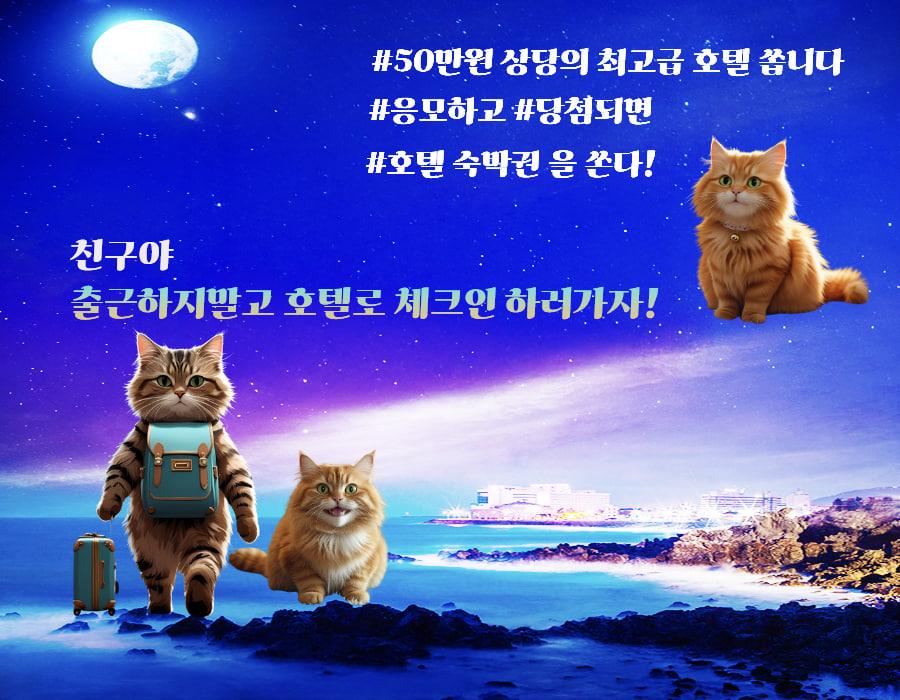 신청 배너